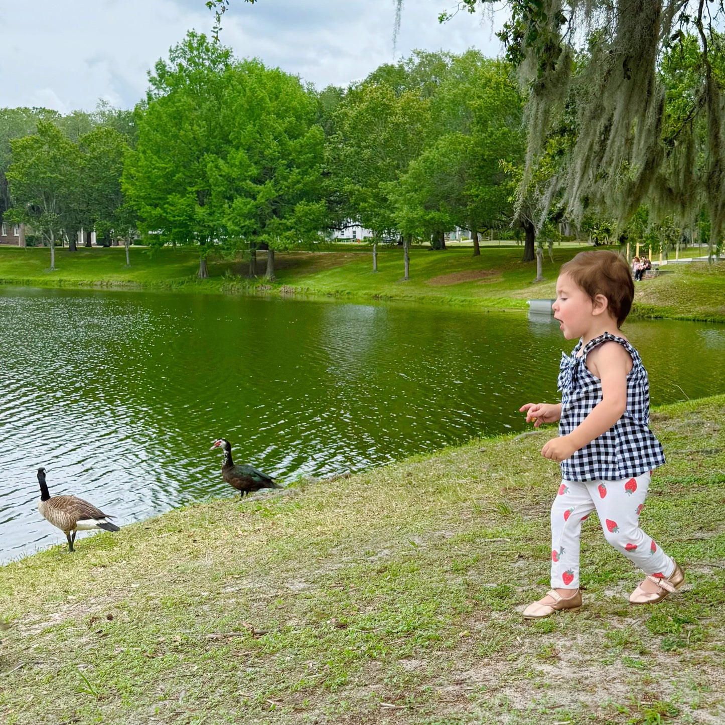 LEGGINGS CON ESTAMPADO DE FRESA | H&M | 18M
