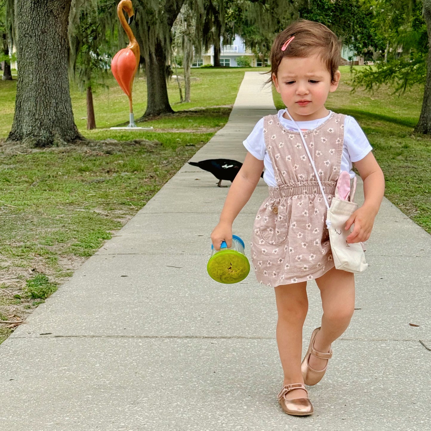 VESTIDO ESTILO JUMPER PARA BEBÉS | JESSICA SIMPSON | 12M