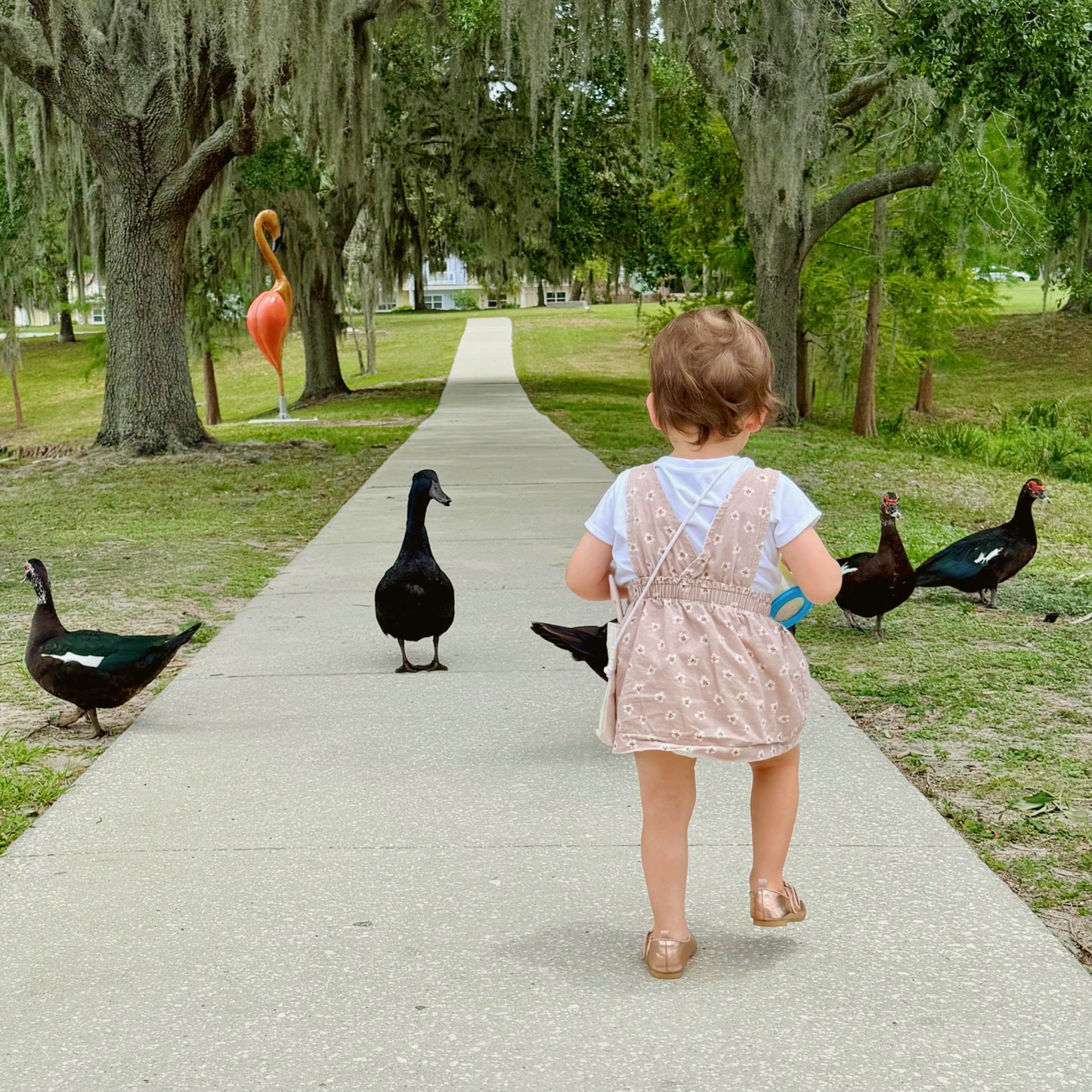VESTIDO ESTILO JUMPER PARA BEBÉS | JESSICA SIMPSON | 12M