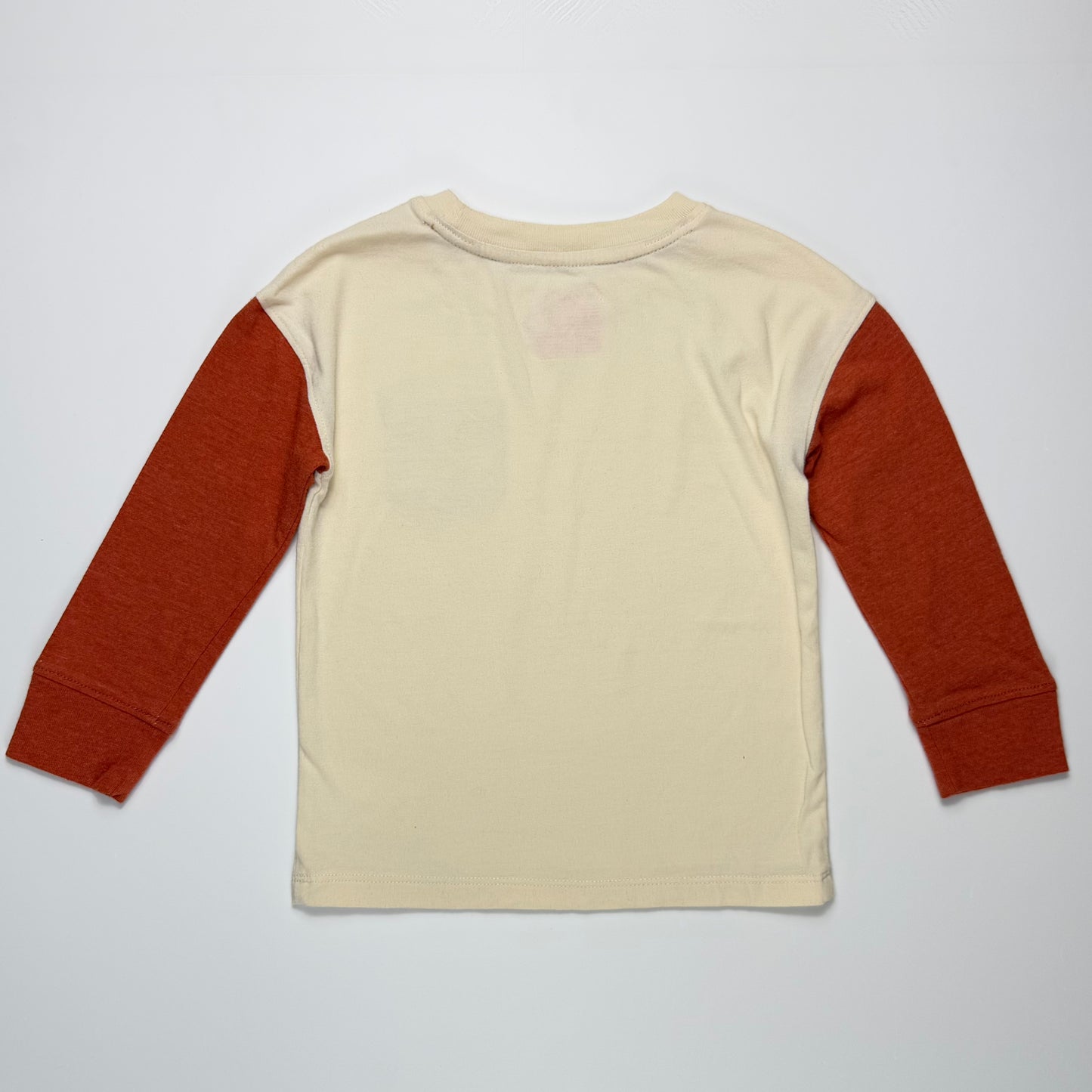 CAMISETA MANGA LARGA COLOR BLOCK | CAT & JACK | 2T